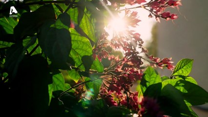 Κάμπινγκ Σ02E02