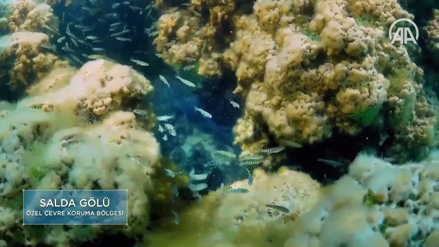 Bakan Kurum, NASA'yı etiketleyerek ‘Salda Gölü’ paylaşımı yaptı