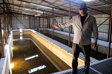 Balıklar susuz kaldı, 20 havuzdan 15'i kurudu