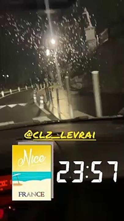 Un renard aperçu sur la Prom et dans les rues de Nice