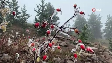 Video herunterladen: Sarıkamış buz kesti, ağaçlar kırağı tuttu