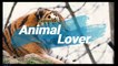 Bull dog |Animal Lover |Animal Channel |Dogs/Breeds
