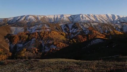 Erzurum'un karlı dağlarında sonbaharın rengarenk güzelliği