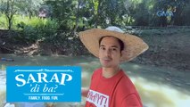 Sarap, 'Di Ba?: Exclusive virtual farm tour with Jason Abalos in Nueva Ecija | Bahay Edition