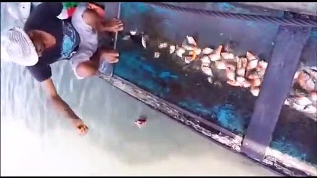 Voilà comment on peche le Piranha