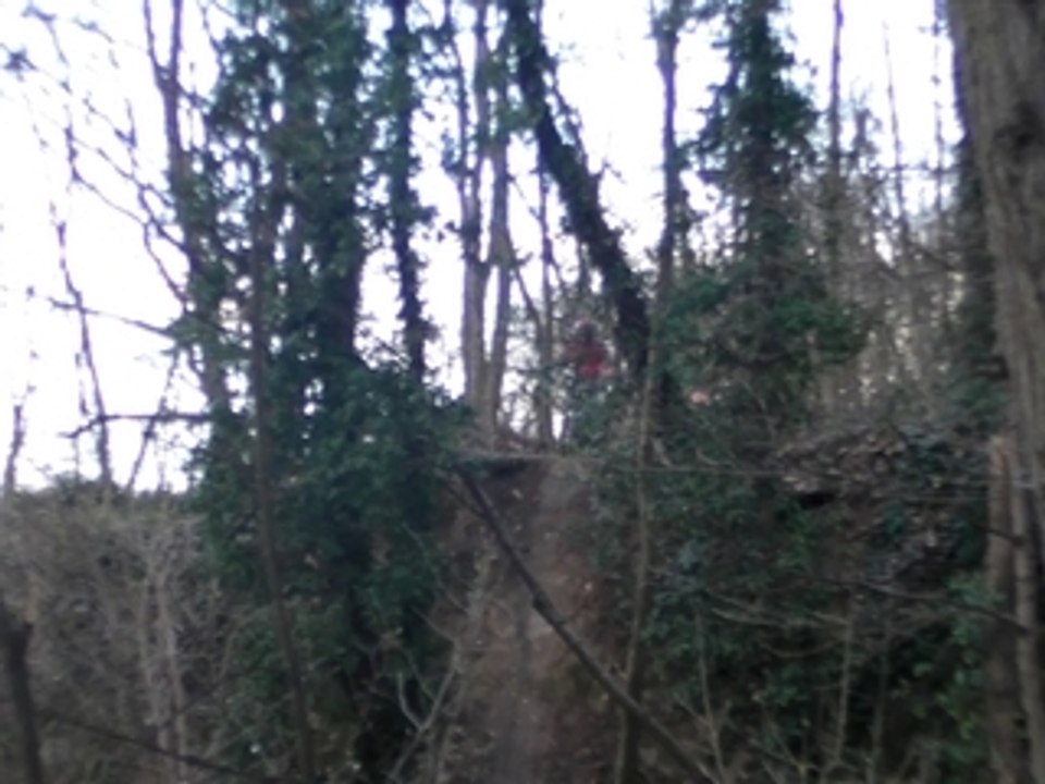 Chute nico