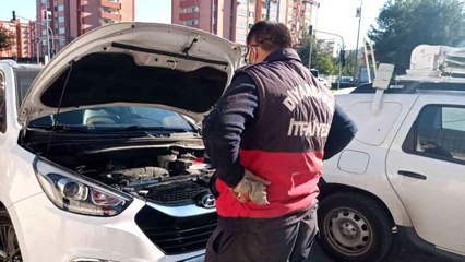 Diyarbakır'da araçta sıkışan kediyi itfaiye kurtardı, Mehmetçik sahiplendi