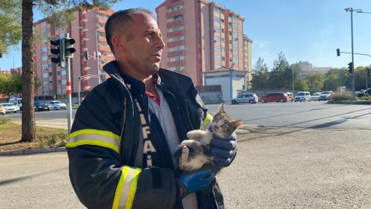OTOMOBİLİN MOTORUNDAN KURTARILAN KEDİYE ASKERLER SAHİP ÇIKTI