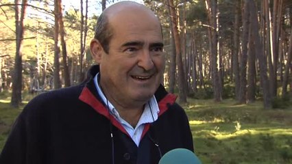 Llega el otoño y brotan las setas