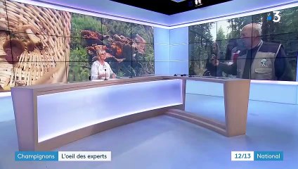Santé : des cours de mycologie pour les étudiants en pharmacie