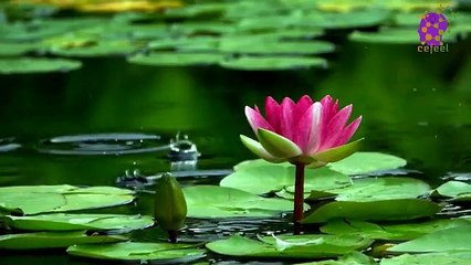 intro-logo-15-min-20210929-233032