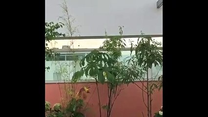 Vídeo: Moradores de Águas Claras registram chuva na tarde deste sábado