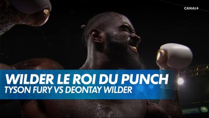Deontay Wilder le roi du punch