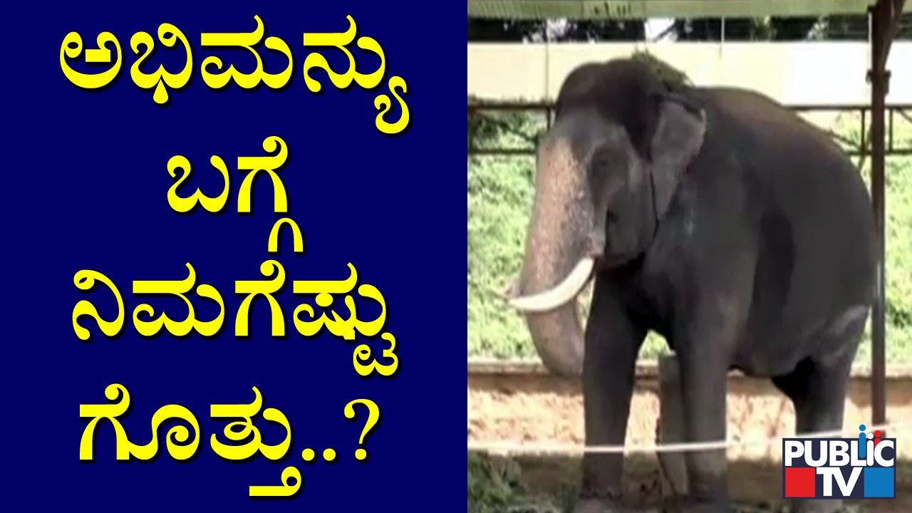 Interesting Information About Dasara Elephant Abhimanyu