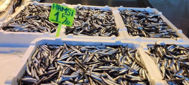 KARADENİZ'DE HAMSİ BOLLUĞU; FİYATI YARIYA DÜŞTÜ