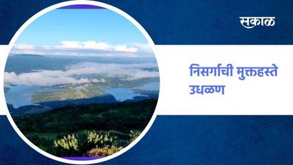 महाराष्ट्राच्या अॅमेझॉन खोऱ्यात निसर्गाची मुक्तहस्ते उधळण