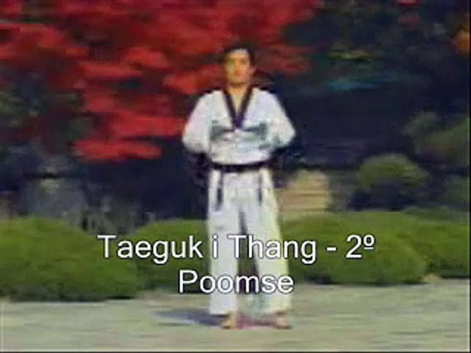 Basic Taekwondo Taeguk_
