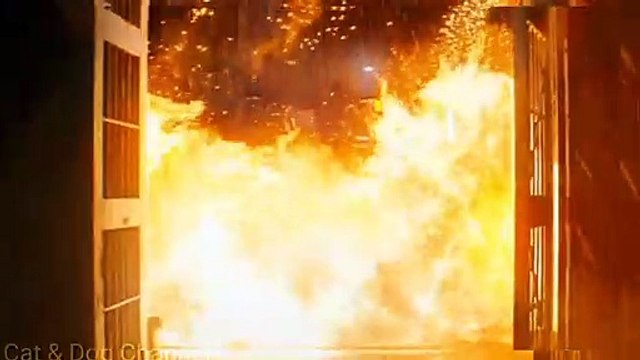 RESIDENT EVIL: WELCOME TO RACCOON CITY - Official Trailer (HD) | In Theaters Nov 24