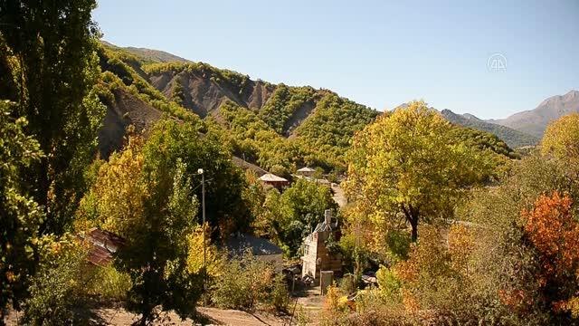 Doğa tutkunu arıcı 5 yıldır ayıların bal hakkını doğaya bırakıyor