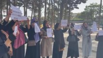 Kadınlar, eğitim ve çalışma haklarının ellerinden alınmasını protesto etti