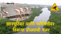 खारपूटिंवर आणि फ्लेमिंगोवर तिसऱ्या डोळ्याची नजर