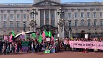 Jóvenes ecologistas animan a la familia real británica a restaurar los ecosistemas de sus tierras