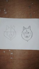How to draw Wolf head  step by step