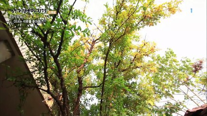 세계테마기행 - 한시로드, 전설 혹은 역사- 절세가인, 양귀비와 왕소군_#002