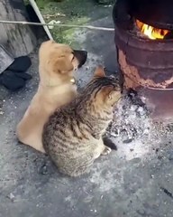 need warmth-butuh kehangatan