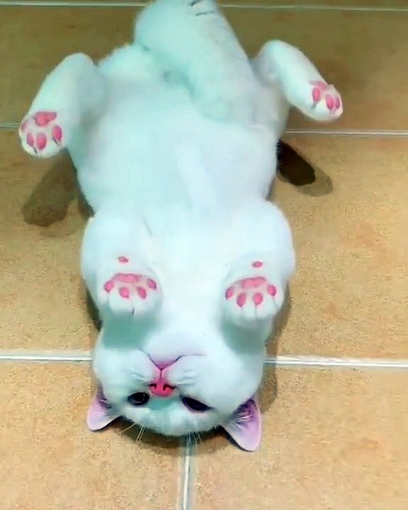 uwwww sooo cute