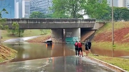 Tesourinha alagada na Asa Norte