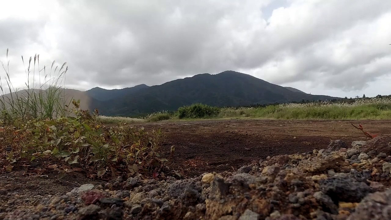 U.S. Army • UH-60 Black Hawk Helicopters • Insert U.S. Marines Exercise Noble Jaguar 2021