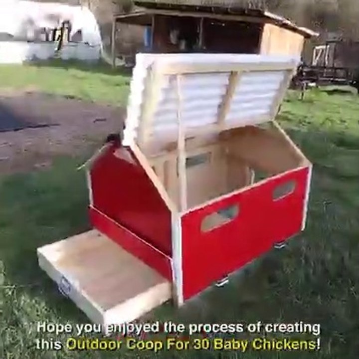 build an outdoor brooder coop for 30 baby chicken   CHICKENS build with COOP! FEEDING CHICKENS