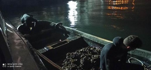 İZMİT KÖRFEZİ'NDE KAÇAK MİDYE AVLAYAN 6 KİŞİ YAKALANDI