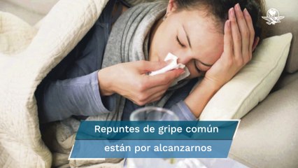 ¿Por qué relajar las restricciones contra el Covid-19 desataría los casos de gripe común?