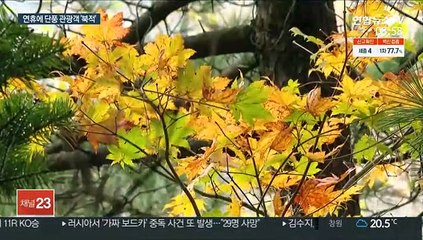 마스크 쓰고 단풍 구경…설악산·오대산 '북적'
