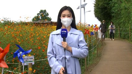 [날씨] 대체공휴일 낮에도 서늘...영동·남부 비 / YTN