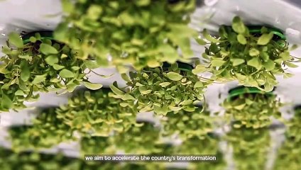 Malaysia: An attractive investment destination for investors