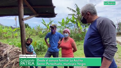 Cultivando Patria l  Conozca bondades de un conuco tecnificado ubicado en Carayaca