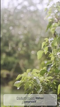 10 MINUTES of Rain Sound Relaxation / Ultimate Stress Relief, Deep Sleep, Meditation, Yoga,...