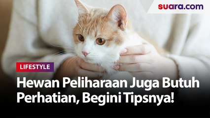 Hewan Peliharaan Juga Butuh Perhatian, Begini Tipsnya!
