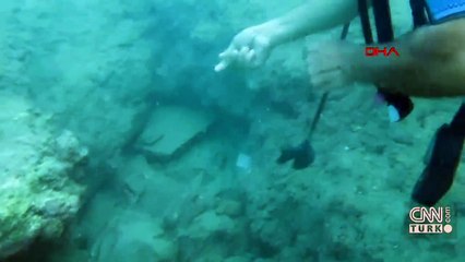 Denize girenleri elektrik gibi çarpıyor