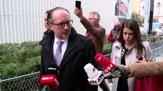 Austria | Schallenberg sucede a Kurz como canciller en plena tempestad política