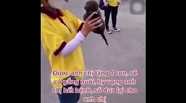Clip: Chú chó duy nhất còn sót lại trong đàn chó 15 con của cặp vợ chồng Cà Mau