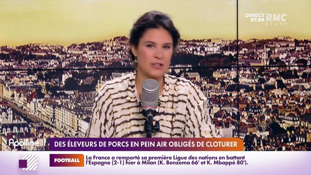 RMC chez vous : Des éleveurs de porcs en plein air obligés de clôturer - 11/10