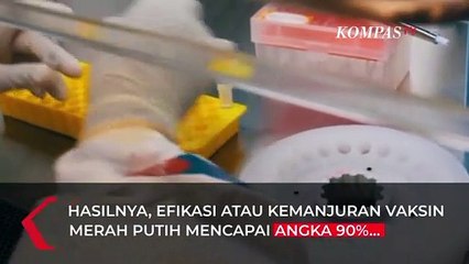 Menunggu Izin Vaksin Merah Putih Unair untuk Diuji ke Manusia