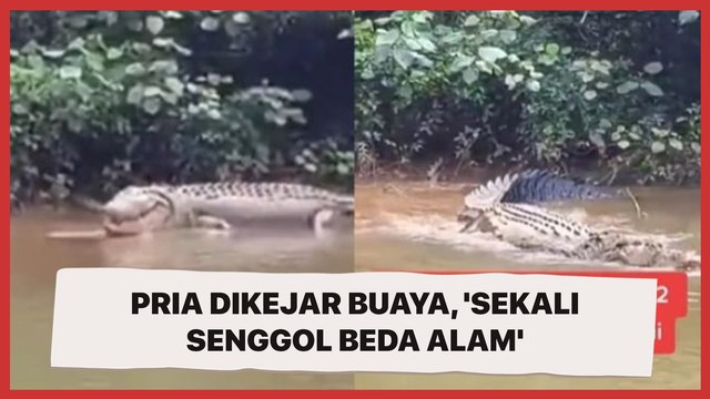 Ngeri! Viral Pria Dikejar Buaya Saat Naik Kapal, 'Sekali Senggol Beda Alam'