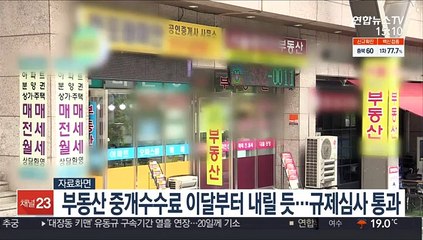 부동산 중개수수료 이달부터 내릴 듯…규제심사 통과