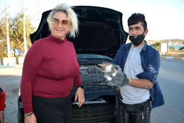 Yavru kediyi kurtarmak için lüks cipi parçalamaya kalkıştılar