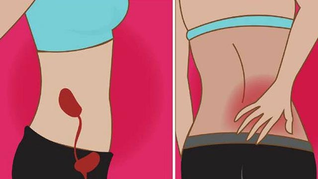 Body में Creatinine Level High से क्या होता है, Kidney पर जानलेवा Effect | Boldsky